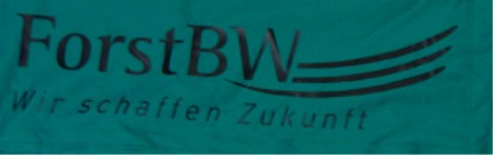 Digitaldruck auf weissen  Volant vom Express-Profi Pavillon - Faltzelt  - Hintergrund wird in Farbig mit ausgedruckt